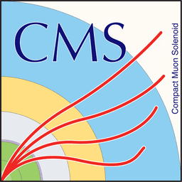 Internship with CMS group at University of Hyderabad